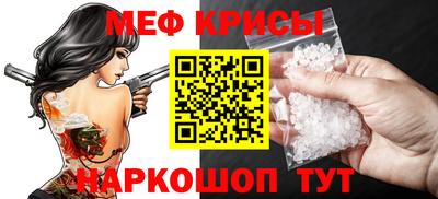 СК Бердск
