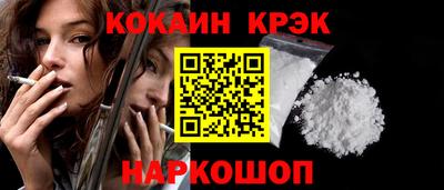 СК Бердск