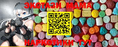 СК Бердск