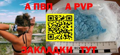 СК Бердск