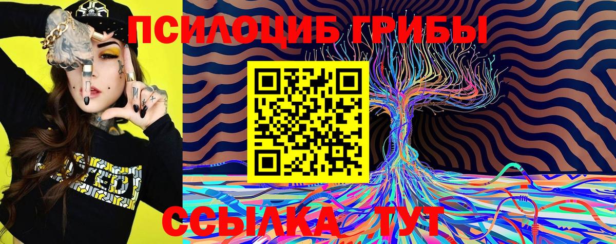 Галлюциногенные грибы Psilocybine cubensis Орёл