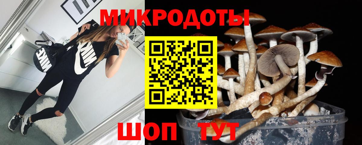 Галлюциногенные грибы MAGIC MUSHROOMS  Вход с VPN  Галлюциногенные грибы GOLDEN TEACHER  Орёл 